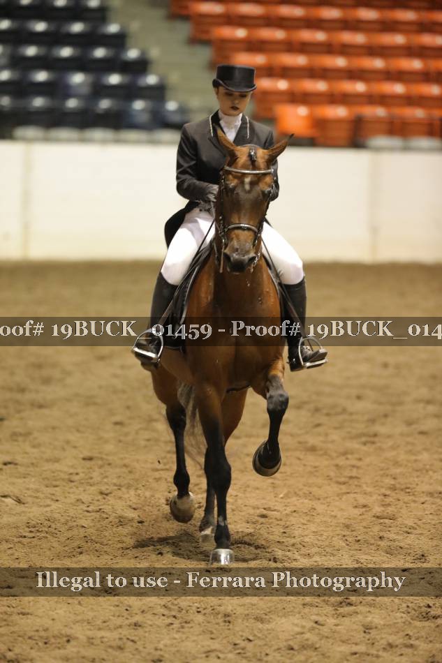 Proof 19BUCK_01459