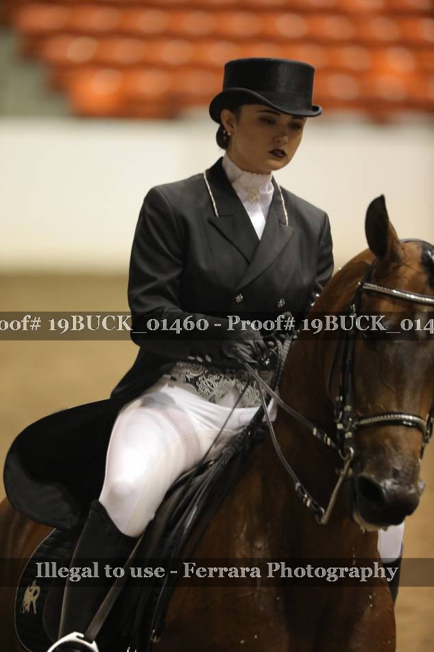 Proof 19BUCK_01460