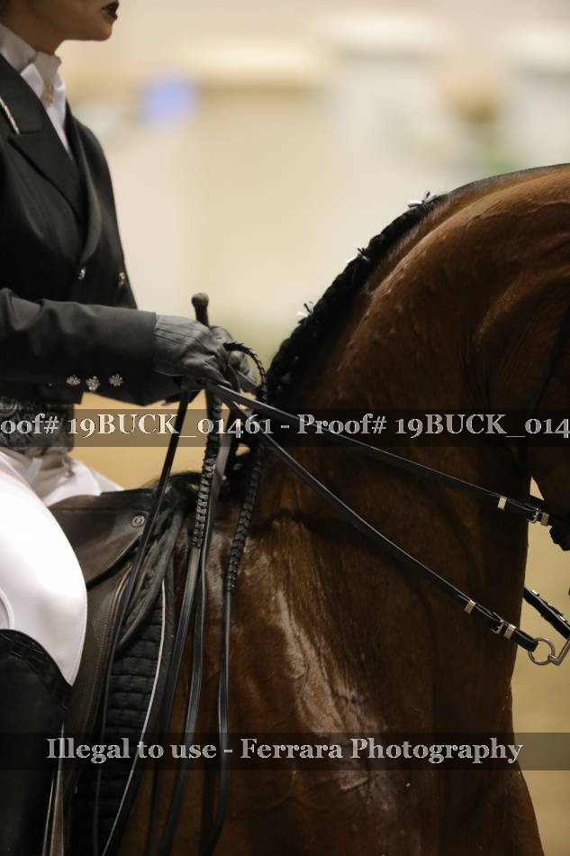 Proof 19BUCK_01461