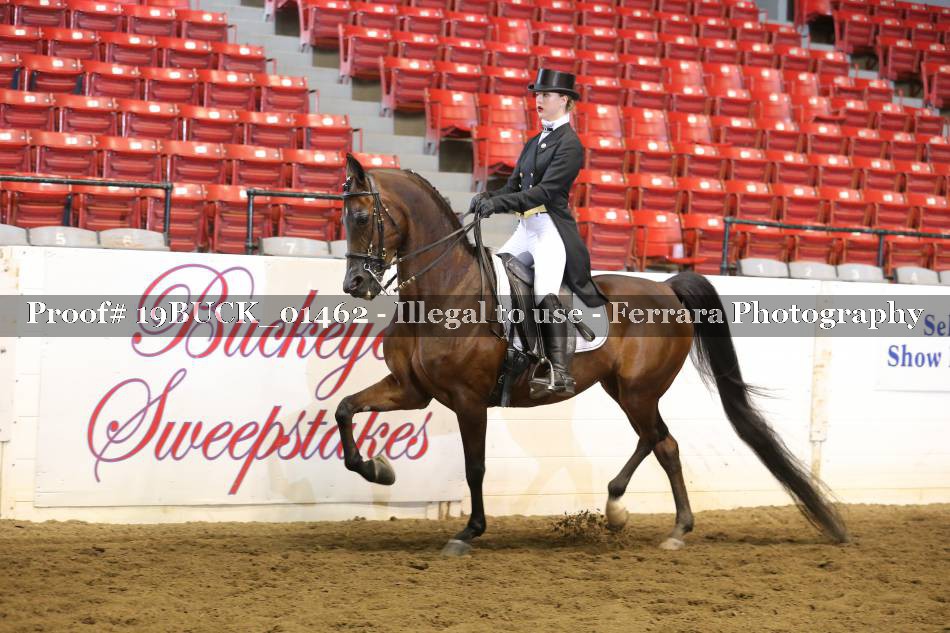 Proof 19BUCK_01462