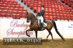 19BUCK_01462 proof