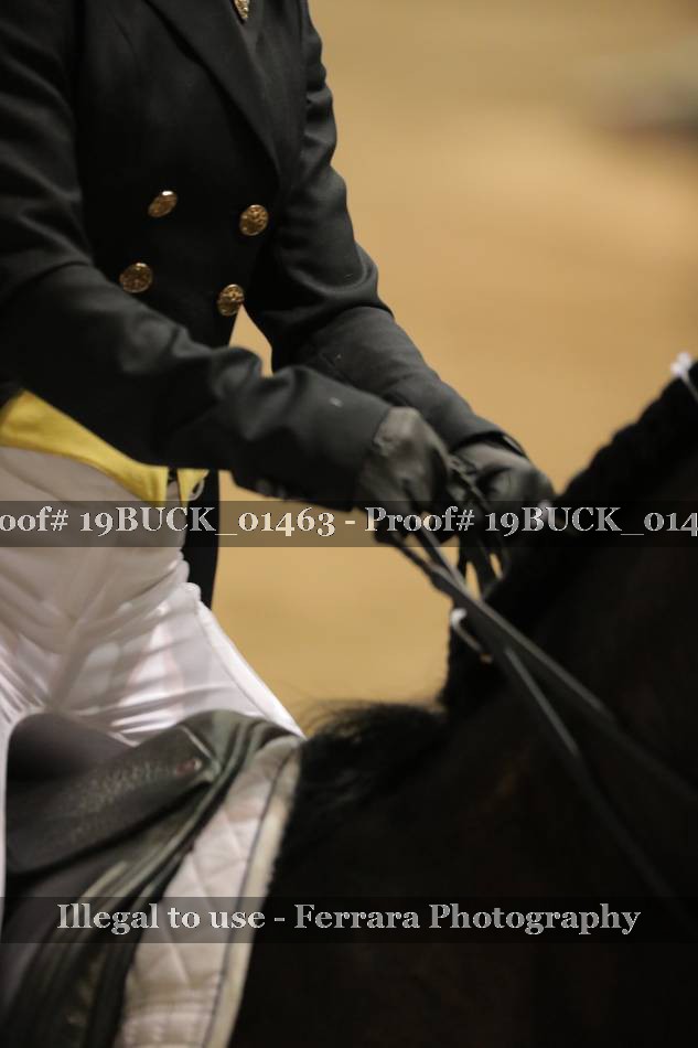 Proof 19BUCK_01463