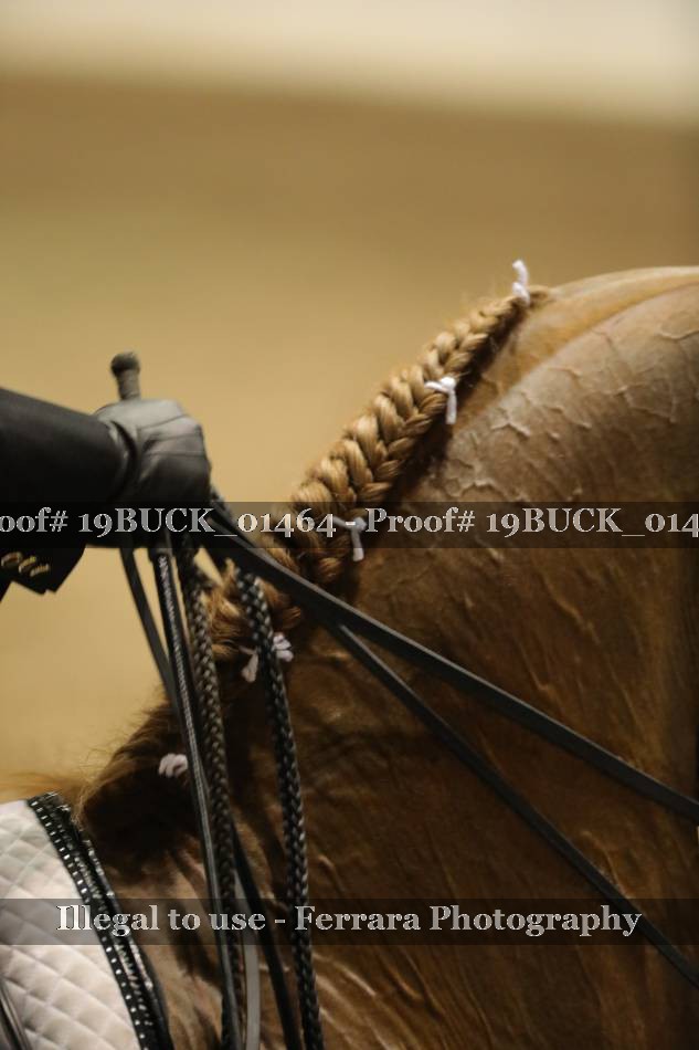 Proof 19BUCK_01464