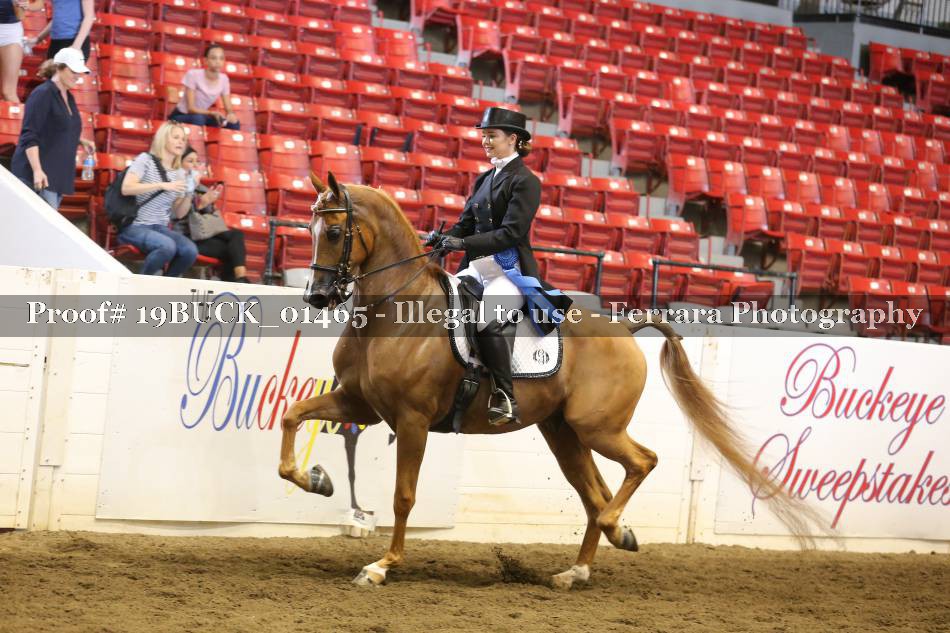 Proof 19BUCK_01465