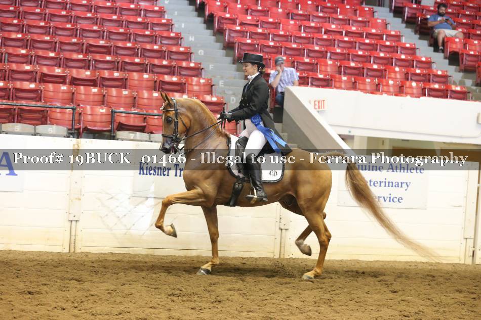 Proof 19BUCK_01466
