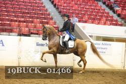 19BUCK_01466 proof