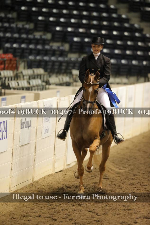 Proof 19BUCK_01467