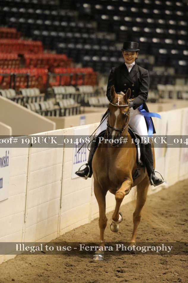 Proof 19BUCK_01468