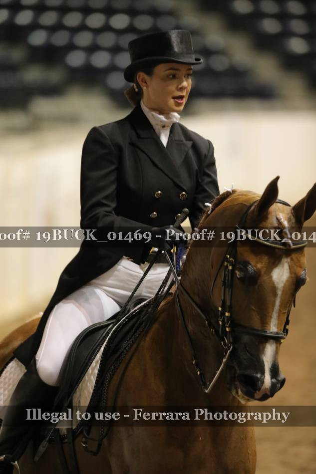 Proof 19BUCK_01469