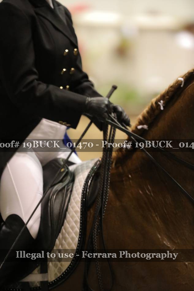 Proof 19BUCK_01470