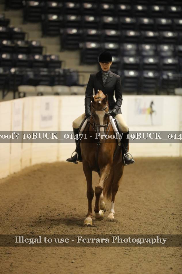 Proof 19BUCK_01471