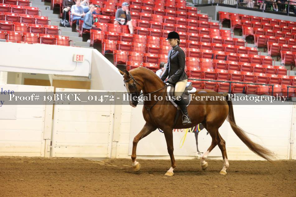 Proof 19BUCK_01472