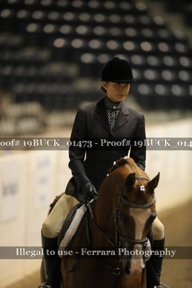 Proof 19BUCK_01473