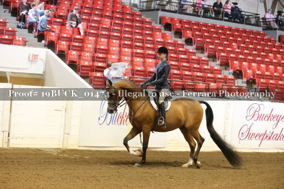 Proof 19BUCK_01474