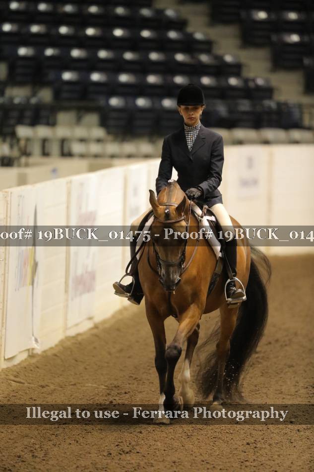 Proof 19BUCK_01475