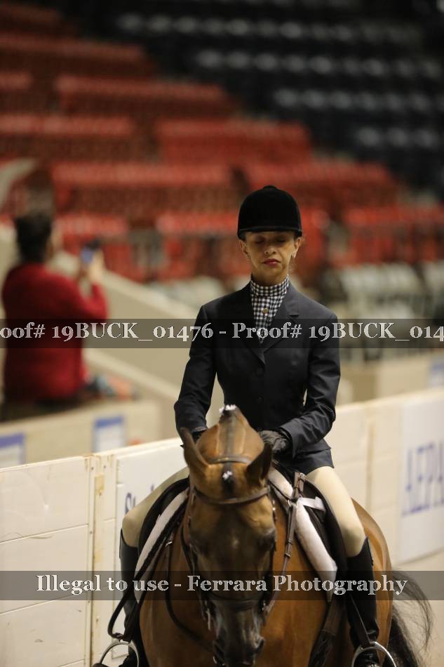 Proof 19BUCK_01476