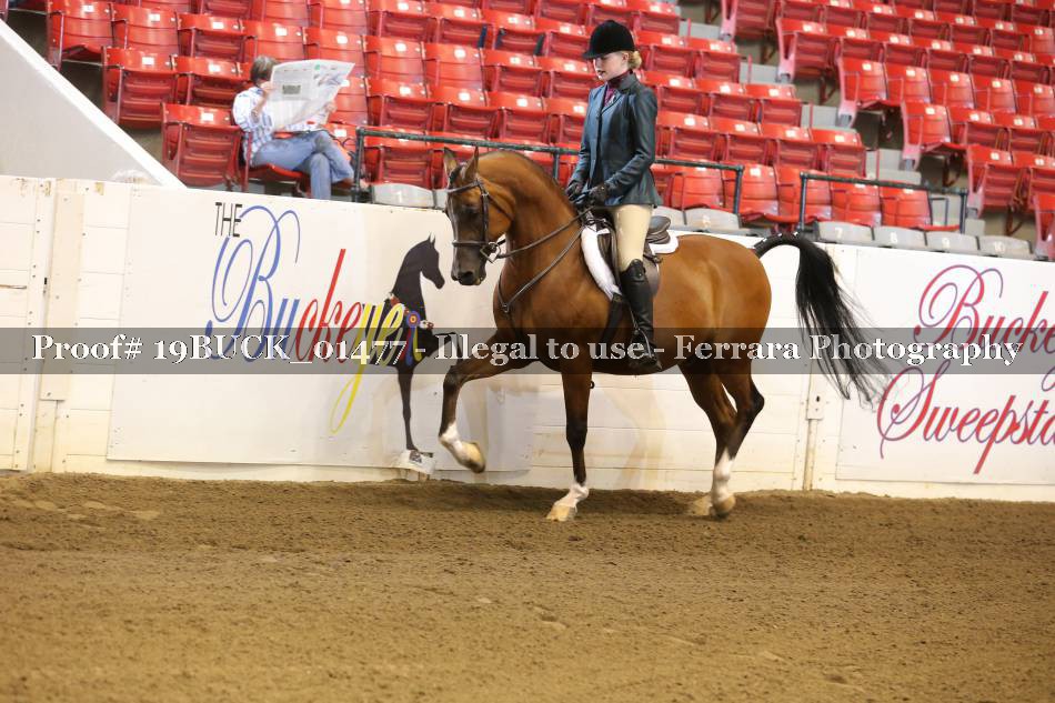 Proof 19BUCK_01477