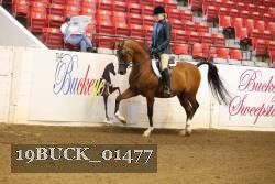 19BUCK_01477 proof