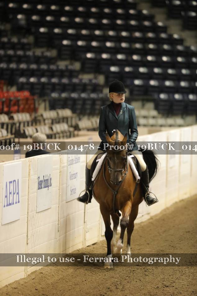 Proof 19BUCK_01478