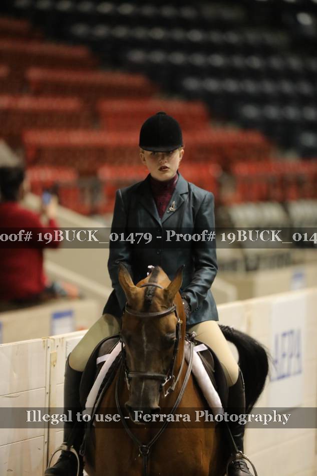 Proof 19BUCK_01479