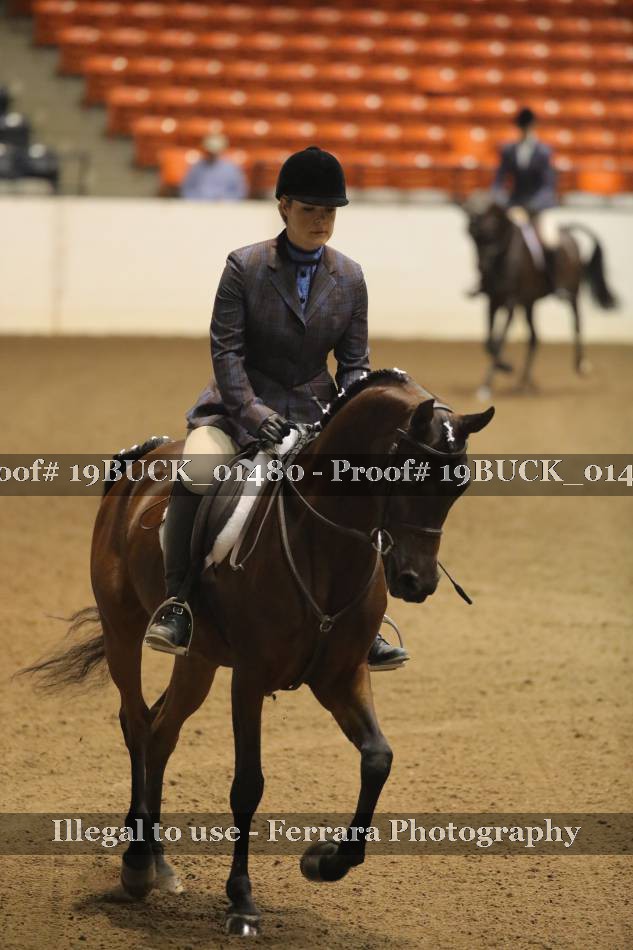 Proof 19BUCK_01480