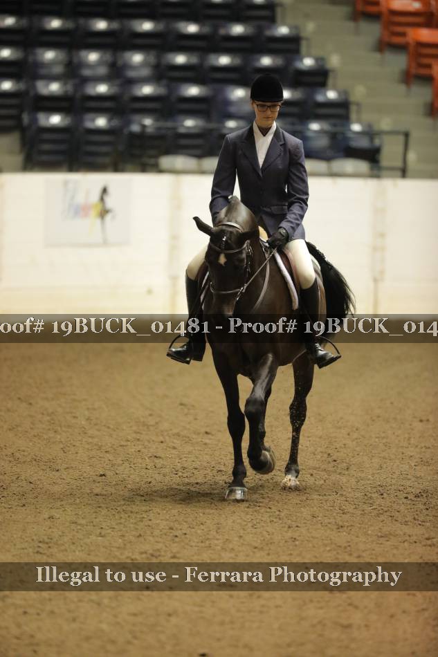 Proof 19BUCK_01481