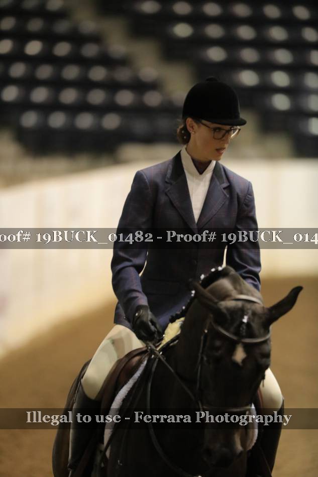 Proof 19BUCK_01482