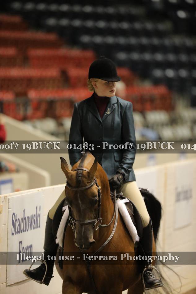 Proof 19BUCK_01483