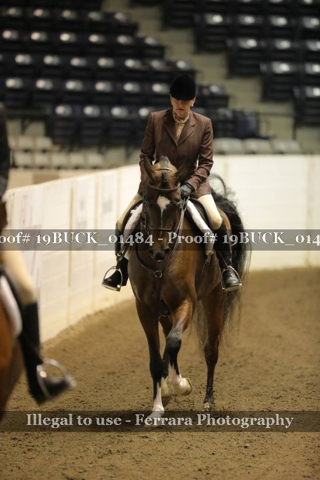 Proof 19BUCK_01484