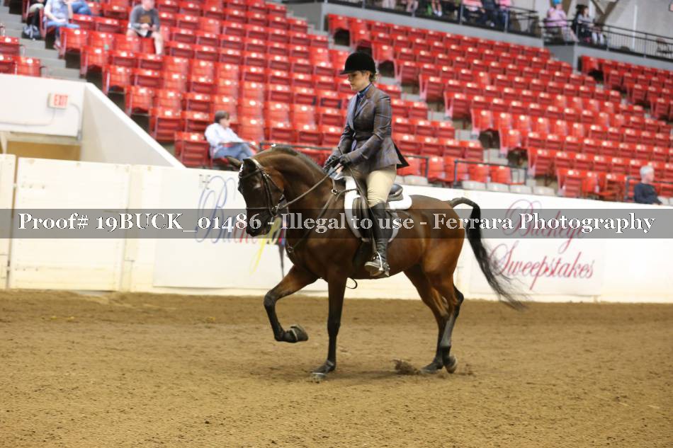 Proof 19BUCK_01486