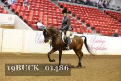 19BUCK_01486 proof