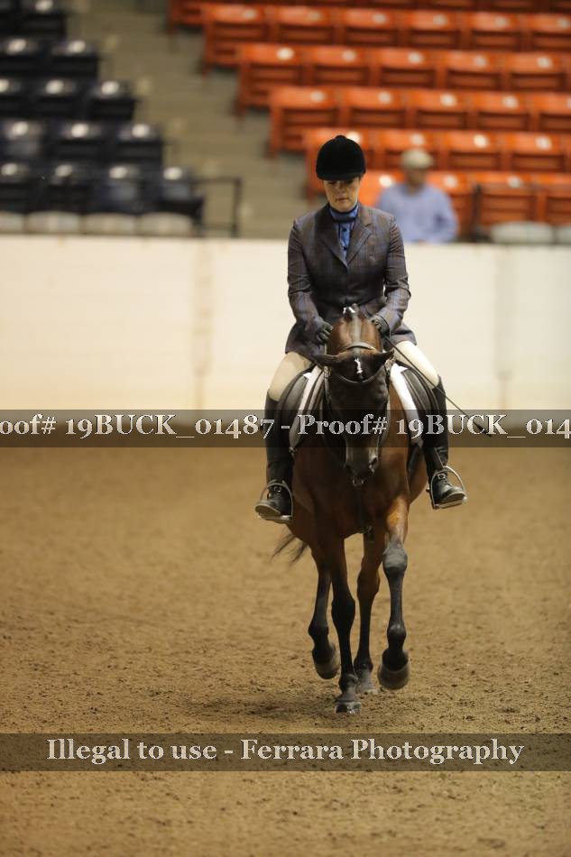 Proof 19BUCK_01487