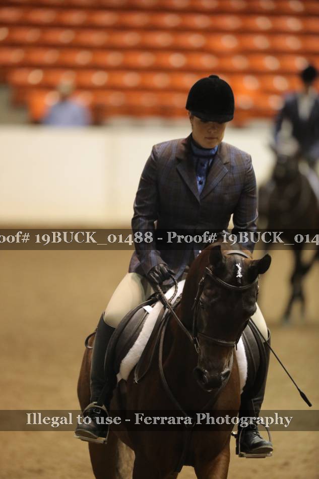 Proof 19BUCK_01488