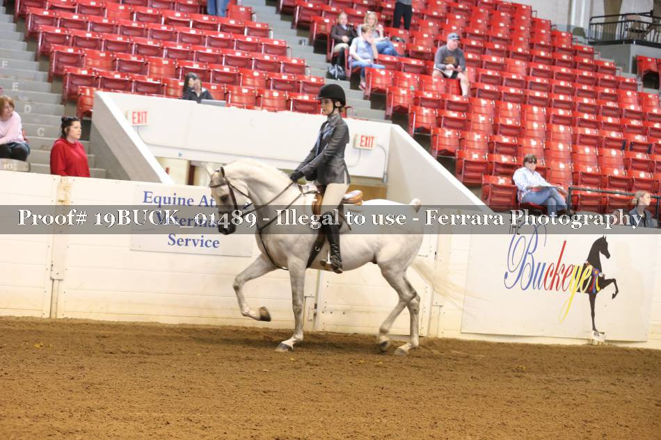 Proof 19BUCK_01489