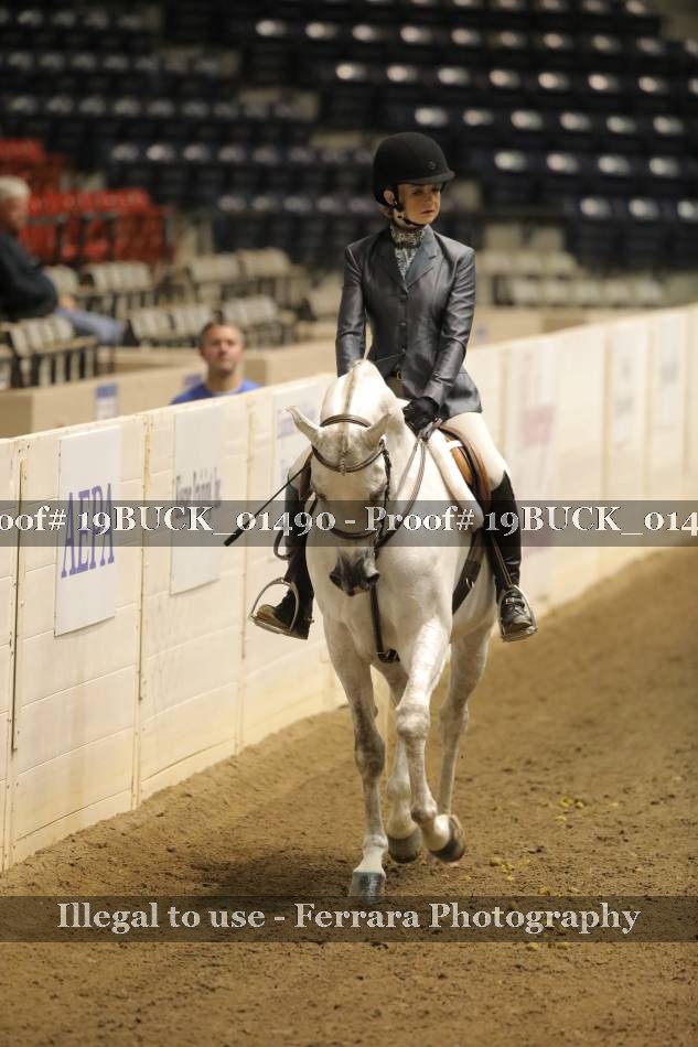 Proof 19BUCK_01490