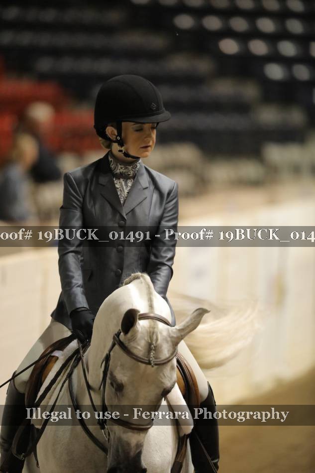 Proof 19BUCK_01491