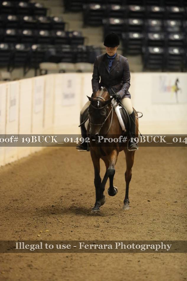 Proof 19BUCK_01492