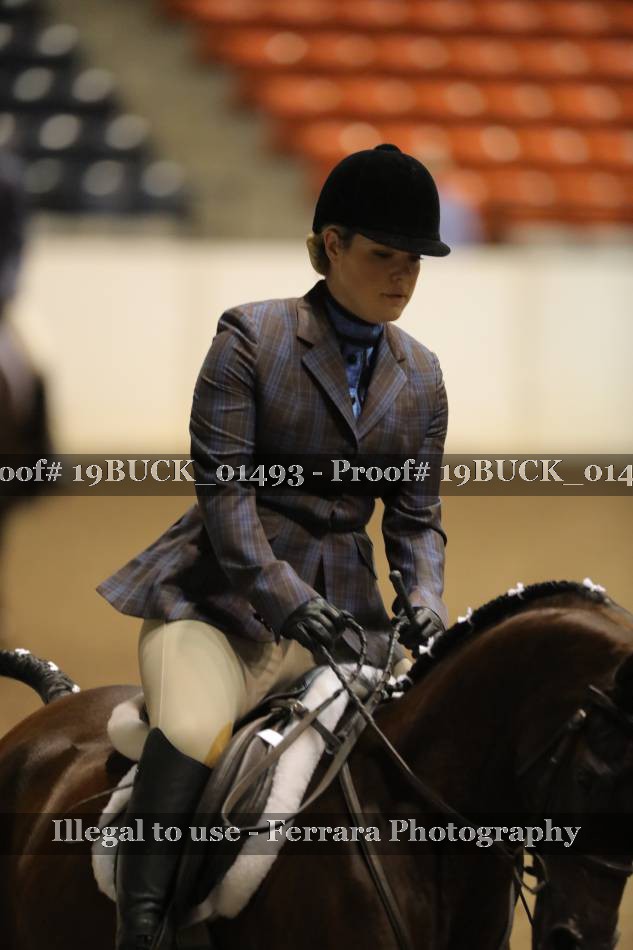 Proof 19BUCK_01493