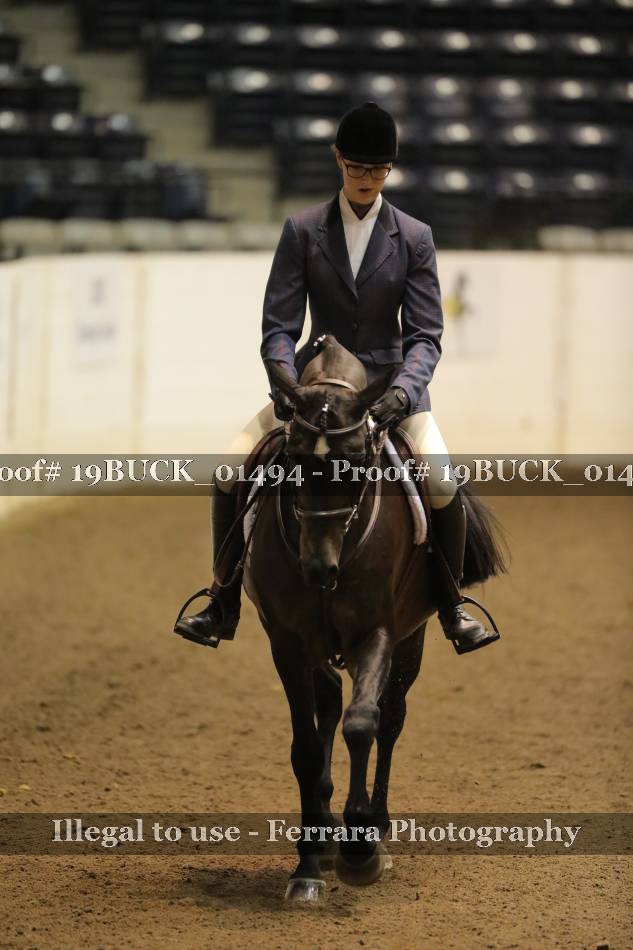 Proof 19BUCK_01494