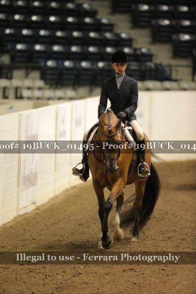 Proof 19BUCK_01495