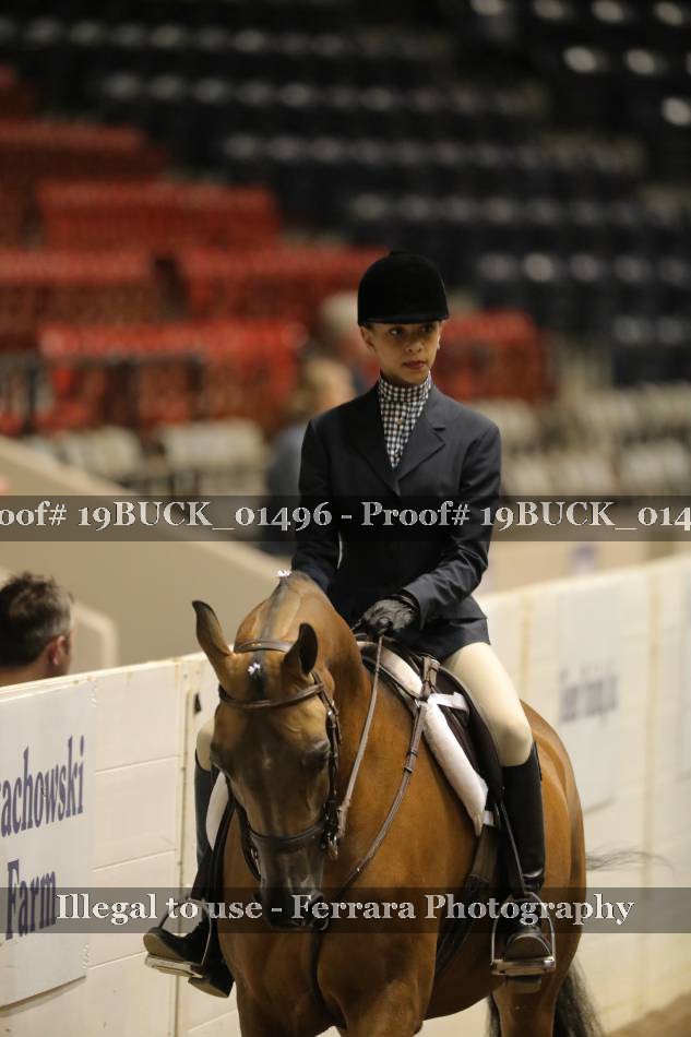 Proof 19BUCK_01496