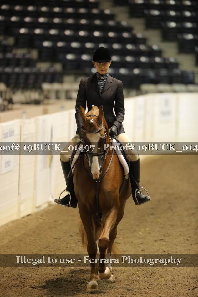 Proof 19BUCK_01497