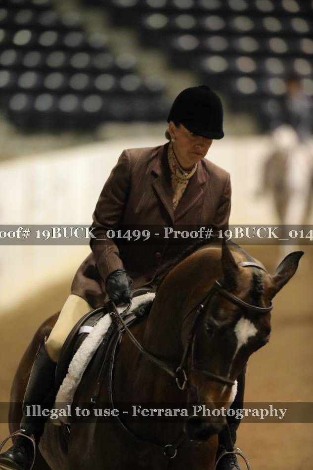 Proof 19BUCK_01499