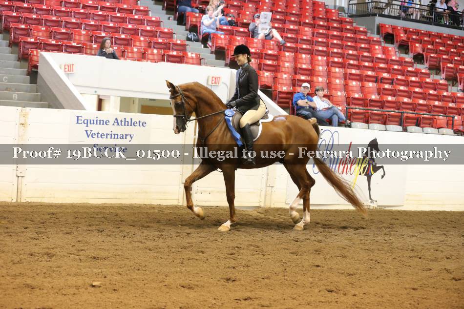 Proof 19BUCK_01500