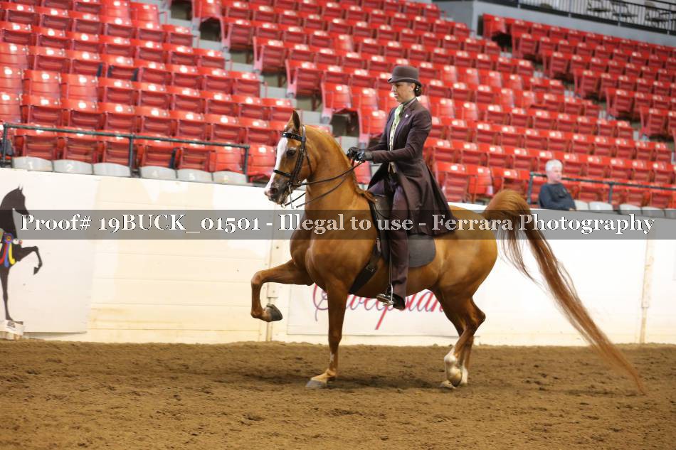 Proof 19BUCK_01501