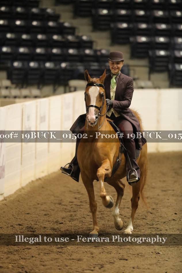 Proof 19BUCK_01502