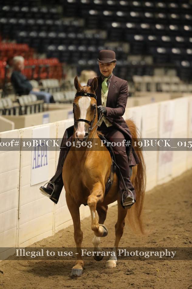 Proof 19BUCK_01503
