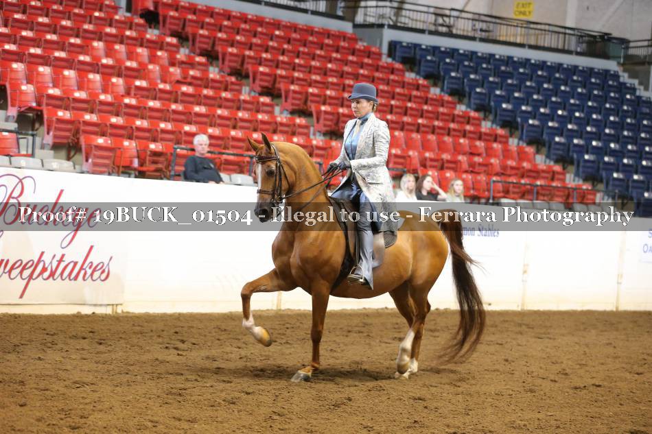 Proof 19BUCK_01504