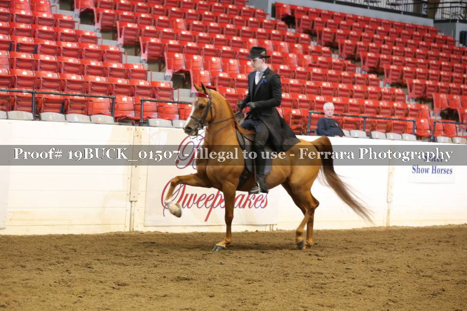 Proof 19BUCK_01507