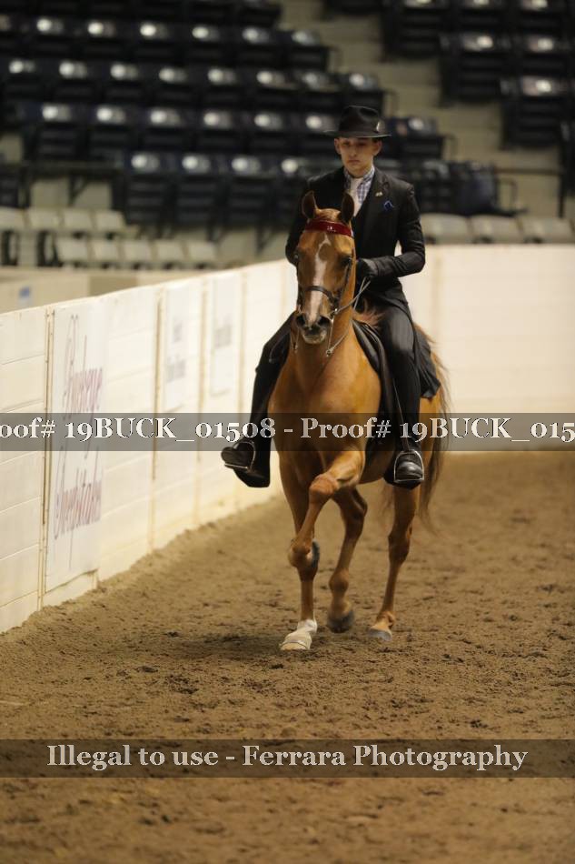 Proof 19BUCK_01508